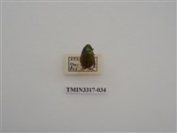 藏品(黃豔金龜)的圖片